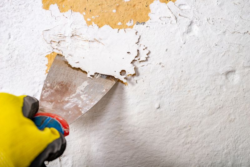 Metal Paint Stripping Service